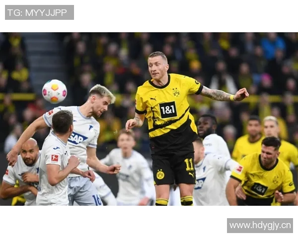 多特蒙德瞄准尼斯新星索菲亚纳迪奥普欲加强锋线火力